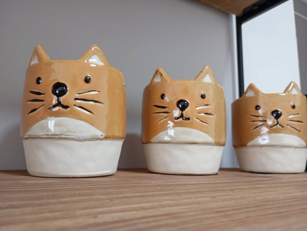 Inspiration Déco : choix et originalité à proximité
